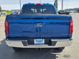New 2025 Ford F150 XLT image 4
