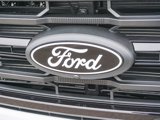 New 2025 Ford F150 XLT image 4