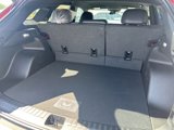 New 2024 Chevrolet Blazer EV LT image 6