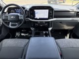 Used 2023 Ford F150 XLT w/ Equipment Group 302A High image 2
