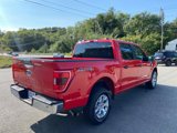 Used 2023 Ford F150 XLT image 6