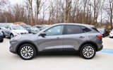 Used 2021 Ford Escape SE w/ SE Sport Appearance Package image 4