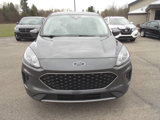 Used 2020 Ford Escape SE image 3