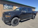 New 2025 Ford F150 XLT image 2