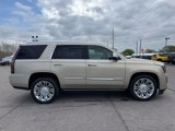 Used 2016 Cadillac Escalade Platinum image 4
