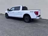 Used 2023 Ford F150 XLT image 3