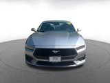 Used 2024 Ford Mustang Premium image 4