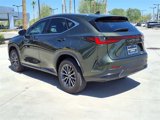 Used 2025 Lexus NX 350h AWD w/ Premium Package image 3