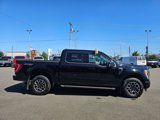 Certified 2023 Ford F150 XLT w/ Equipment Group 302A High image 5