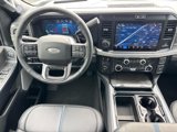 New 2025 Ford F250 Platinum image 4