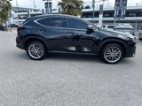 Used 2025 Lexus NX 350h AWD w/ Premium Package image 4