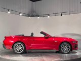 Used 2024 Ford Mustang GT Premium image 4