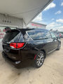 Used 2017 Chrysler Pacifica Limited w/ UConnect Theater Package image 6