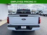 New 2025 Ford F150 STX w/ Equipment Group 200A image 6