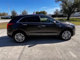 Used 2019 Cadillac XT5 Premium Luxury image 4
