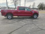 New 2025 Ford F150 XLT w/ Equipment Group 302A MID image 4