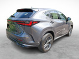 New 2025 Lexus NX 350h AWD w/ Premium Package image 4