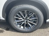 New 2025 Lexus NX 350 AWD w/ Premium Package image 5