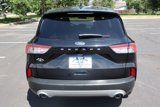 Used 2022 Ford Escape SEL image 6