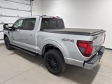 New 2025 Ford F150 XLT w/ Equipment Group 302A MID image 6