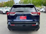 Certified 2025 Toyota RAV4 XSE image 5