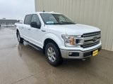 Used 2019 Ford F150 XLT w/ Equipment Group 302A Luxury image 2