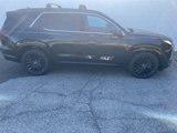 New 2025 Hyundai Palisade Calligraphy image 2