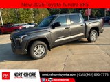 New 2026 Toyota Tundra SR5 image 1