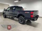 New 2025 Ford F250 Platinum image 4