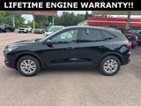 New 2025 Ford Escape Active w/ Tech Pack #1 image 5
