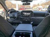 New 2025 Ford F150 XLT w/ Equipment Group 302A MID image 5