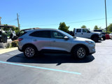 Used 2022 Ford Escape Titanium image 2