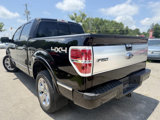 Used 2013 Ford F150 Platinum image 5