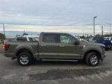 New 2025 Ford F150 XLT w/ Equipment Group 301A Standard image 3