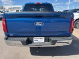 New 2025 Ford F150 XLT image 4