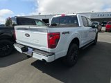 New 2025 Ford F150 XLT w/ Equipment Group 303A High image 6