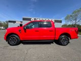 Used 2021 Ford F150 XLT w/ Equipment Group 302A High image 3