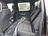 New 2025 Ford F150 XLT w/ Equipment Group 302A MID image 6