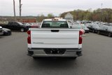 Used 2024 Chevrolet Silverado 1500 W/T w/ WT Fleet Convenience Package image 6