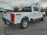 New 2025 Ford F250 XL image 4