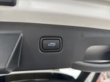 New 2025 Hyundai Tucson Limited image 6