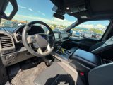 Used 2019 Ford F150 Raptor w/ Equipment Group 802A Luxury image 6