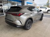 Used 2024 Lexus NX 350 AWD w/ Premium Package image 5