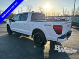New 2025 Ford F150 XLT w/ Equipment Group 302A MID image 5