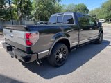 Used 2013 Ford F150 Platinum image 5
