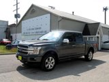 Used 2020 Ford F150 Platinum w/ Equipment Group 701A Luxury image 3