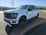 New 2025 Ford F150 STX image 2