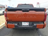 New 2025 Toyota Tundra Platinum image 5