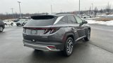New 2025 Hyundai Tucson Limited image 5