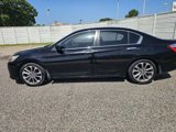Used 2014 Honda Accord Sport image 3